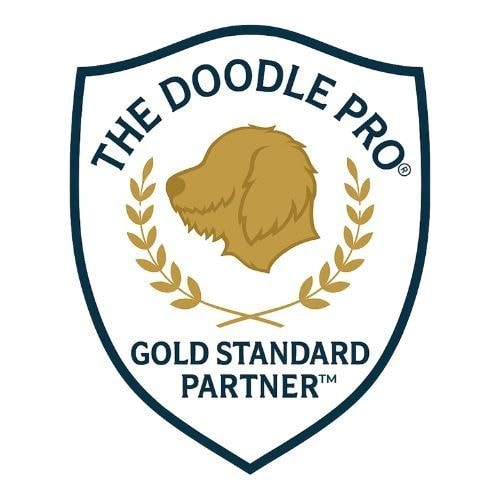 The Doodle Pro Partner