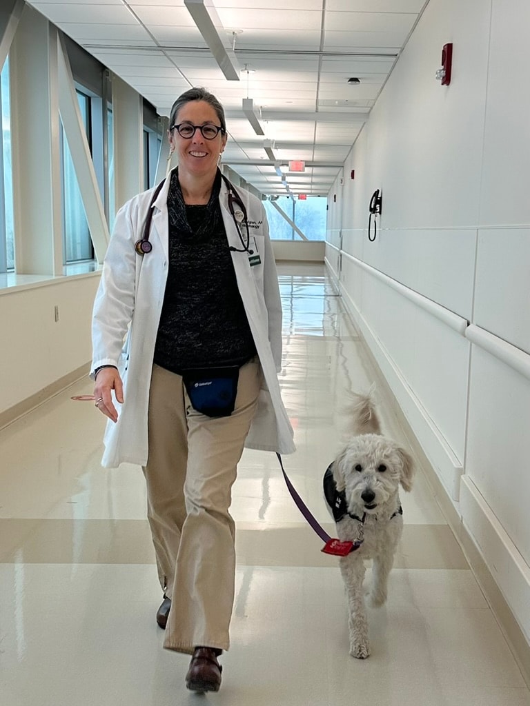 Acadia Goldendoodle therapy and service dogs