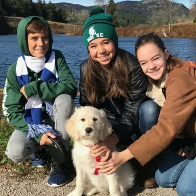 Josie — Acadia Goldendoodle